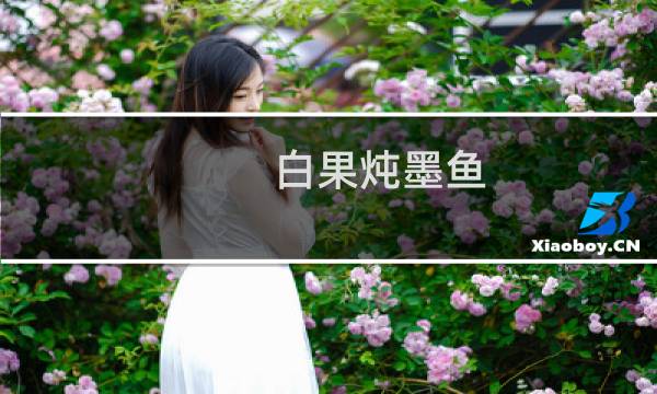 白果炖墨鱼