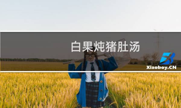白果炖猪肚汤