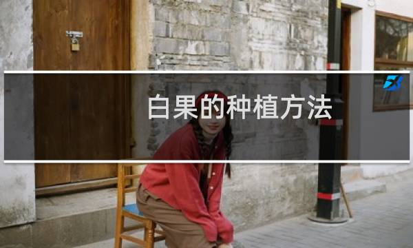 白果的种植方法