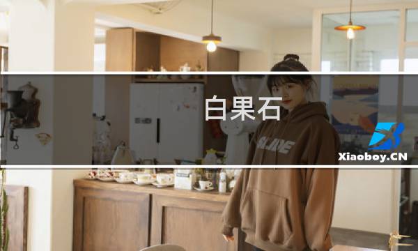 白果石