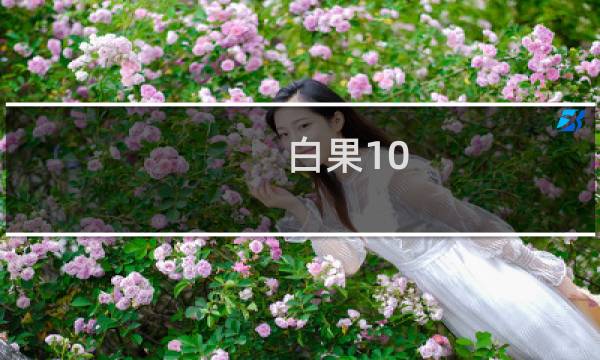 白果10