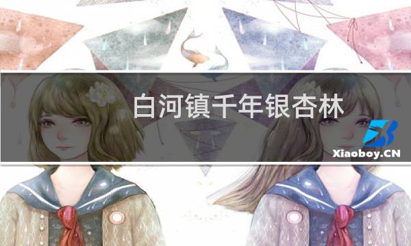 白河镇千年银杏林