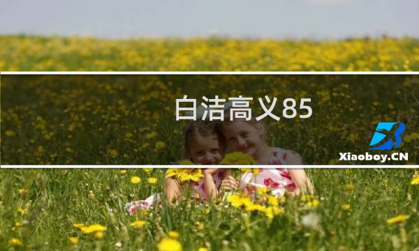 白洁高义85