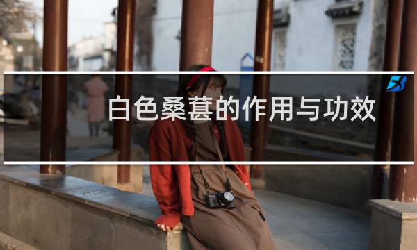 白色桑葚的作用与功效（白色桑葚的作用）图片