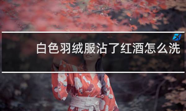 白色羽绒服沾了红酒怎么洗