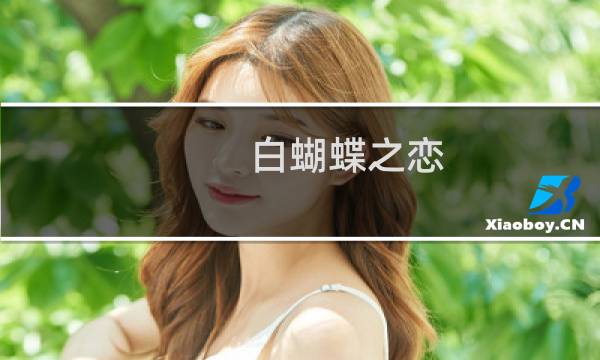 白蝴蝶之恋图片