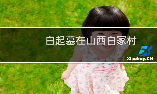 白起墓在山西白冢村（白起墓）