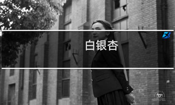 白银杏