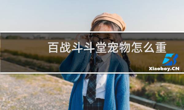 百战斗斗堂宠物怎么重置天赋