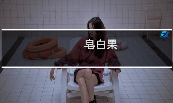 皂白果