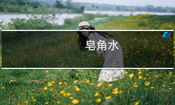 皂角水