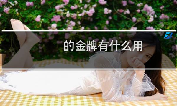 的金牌有什么用
