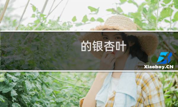 的银杏叶