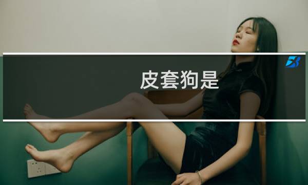 皮套狗是 嘉然粉丝占了大部分什么梗
