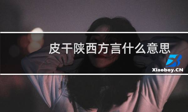 皮干陕西方言什么意思，是脏话吗什么梗