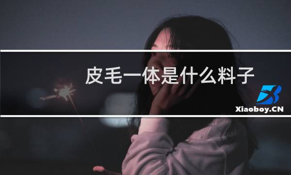皮毛一体是什么料子（皮毛一体是什么意思）