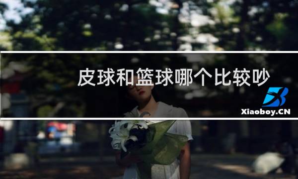 皮球和篮球哪个比较吵