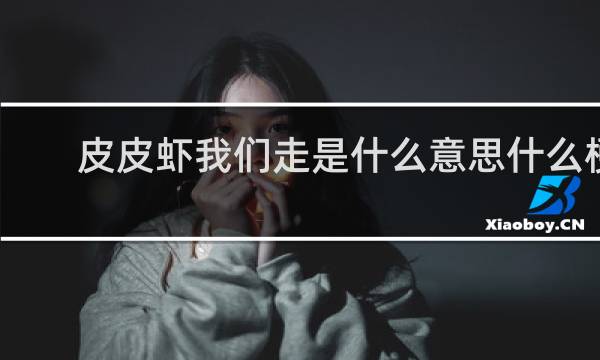 皮皮虾我们走是什么意思什么梗
