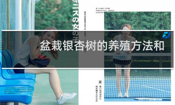 盆栽银杏树的养殖方法和注意事项