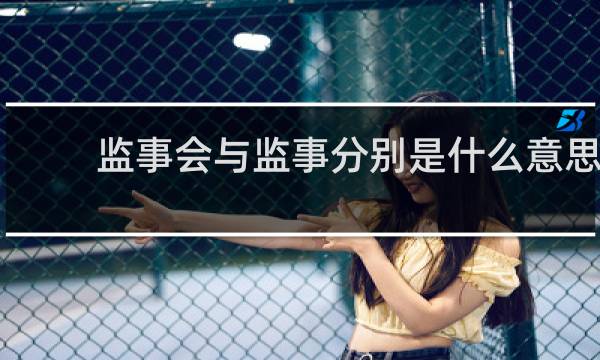 监事会与监事分别是什么意思