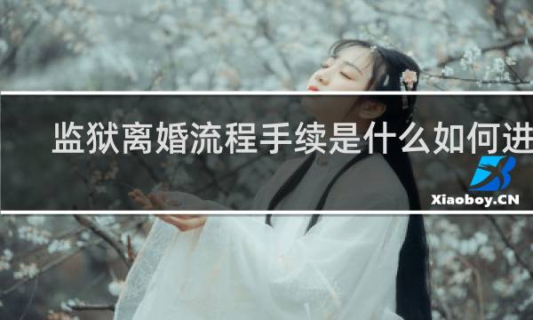 监狱离婚流程手续是什么如何进行