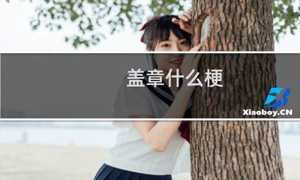 盖章什么梗