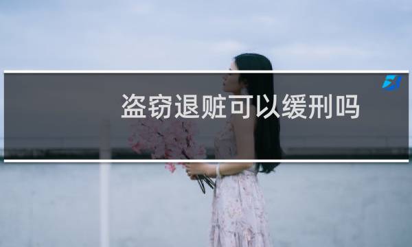 盗窃退赃可以缓刑吗