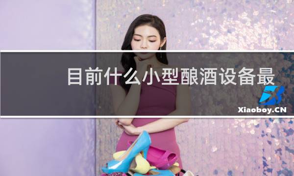 目前什么小型酿酒设备最先进