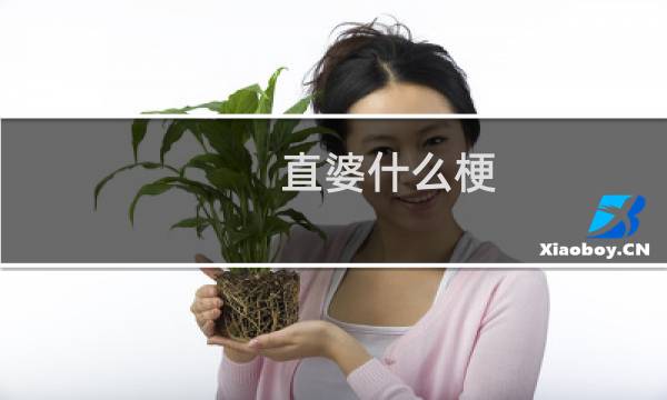 直婆什么梗？什么梗