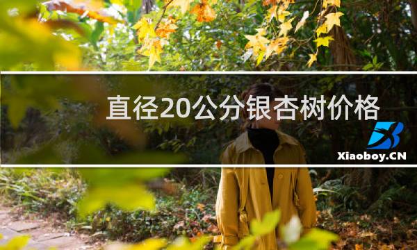 直径20公分银杏树价格