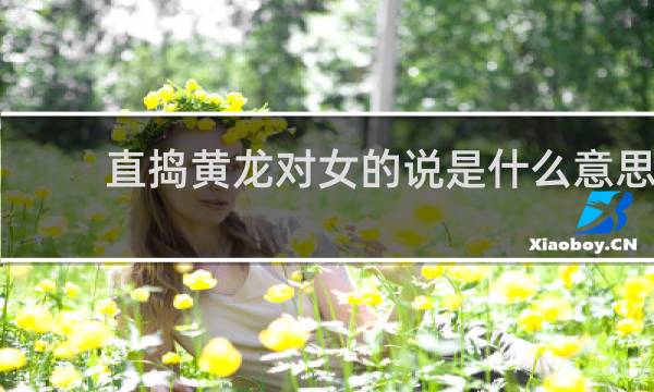 直捣黄龙对女的说是什么意思