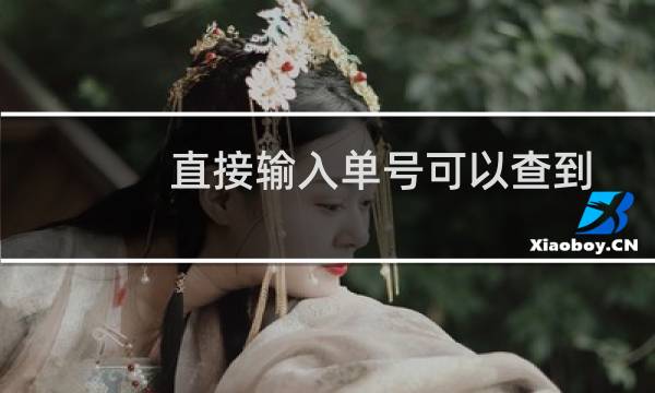 直接输入单号可以查到快递吗（直接输入单号可不可以查到快递）图片
