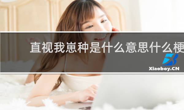 直视我崽种是什么意思什么梗