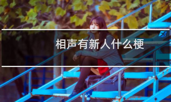 相声有新人什么梗