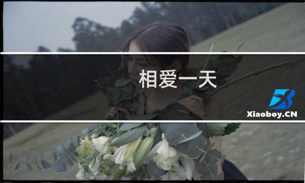 相爱一天