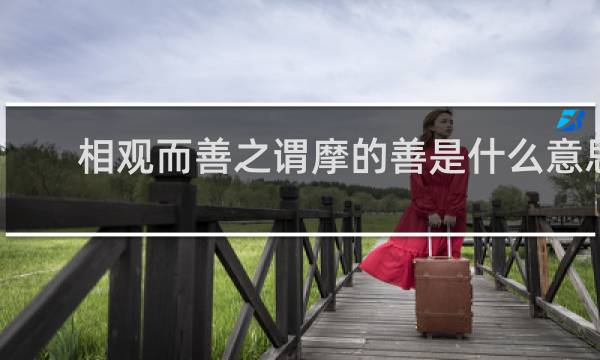 相观而善之谓摩的善是什么意思