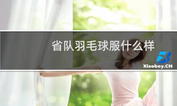 省队羽毛球服什么样