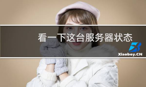 看一下这台服务器状态-其他问题