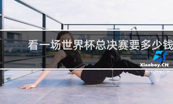 看一场世界杯总决赛要多少钱