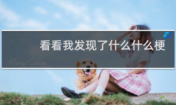 看看我发现了什么什么梗