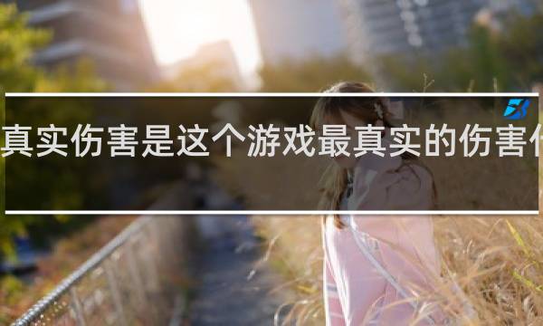 真实伤害是这个游戏最真实的伤害什么梗