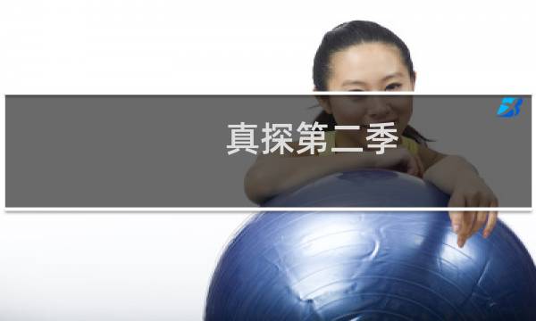 真探第二季