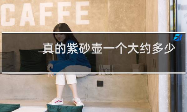 真的紫砂壶一个大约多少钱
