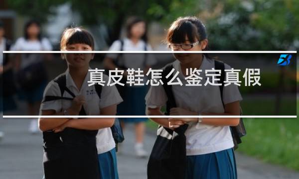 真皮鞋怎么鉴定真假（真皮鞋怎么鉴定）图片