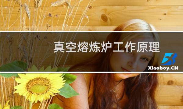真空熔炼炉工作原理（真空熔炼炉）图片