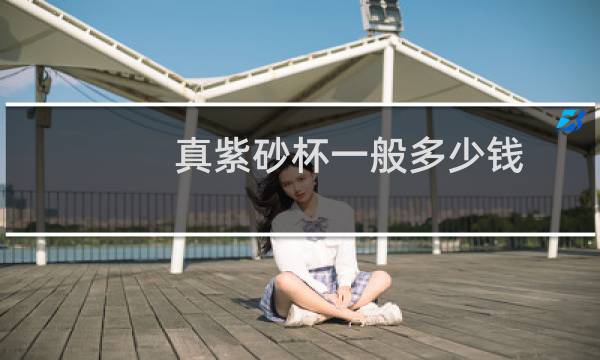 真紫砂杯一般多少钱