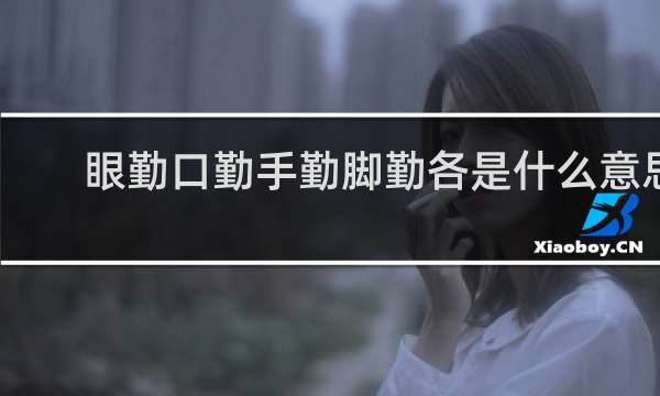 眼勤口勤手勤脚勤各是什么意思
