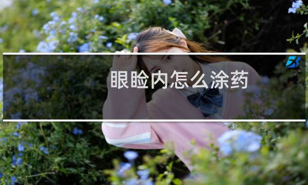 眼睑内怎么涂药（眼睑内是哪里）
