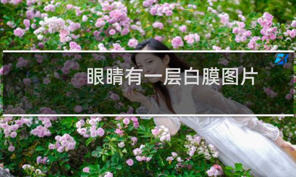 眼睛有一层白膜图片(眼睛有一层白膜是什么)