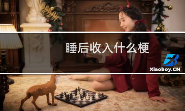 睡后收入什么梗